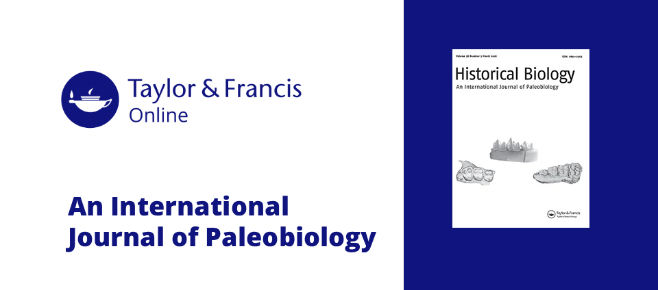 Em artigo, professor da Ufac propõe novos nomes para jacarés-capa.jpg