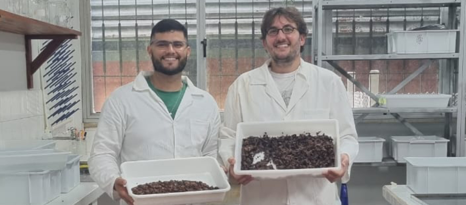 Ufac e Reca projetam produção industrial de nibs de cupuaçu-capa.jpg