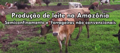Ufac lança vídeo educativo sobre produção de leite na Amazônia