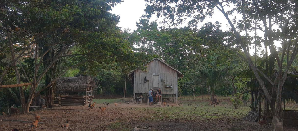 UFAC participa de pesquisa sobre zoonose associada à caça de subsistência na Amazônia-interna.jpg