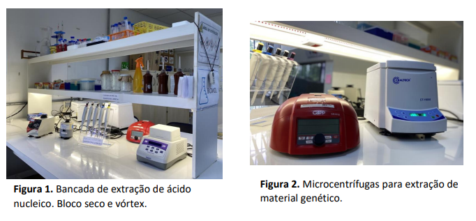 Captura de tela 2024-11-18 101112.png Captura de tela 2024-11-18 101112.png