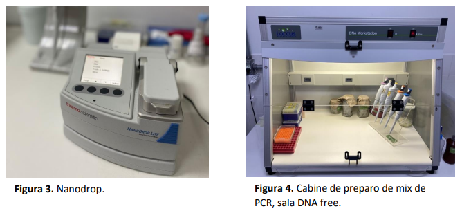 Captura de tela 2024-11-18 101121.png Captura de tela 2024-11-18 101121.png