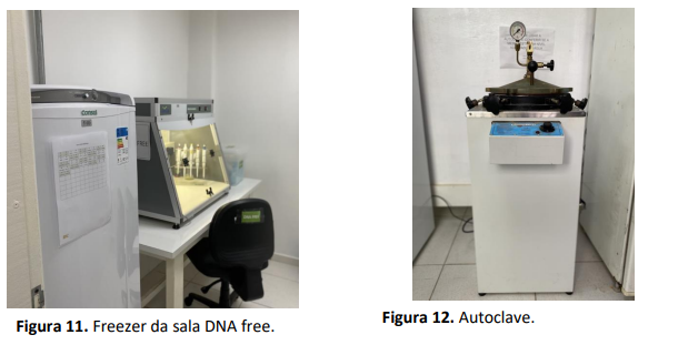 Captura de tela 2024-11-18 101151.png Captura de tela 2024-11-18 101151.png