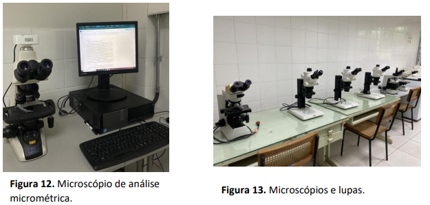 Captura de tela 2024-11-18 101157.png Captura de tela 2024-11-18 101157.png