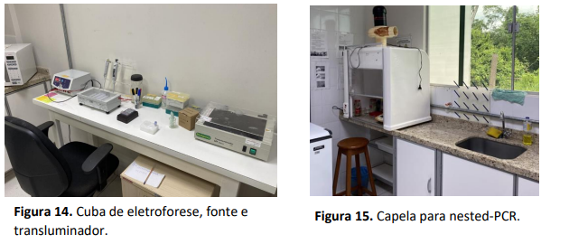 Captura de tela 2024-11-18 101204.png Captura de tela 2024-11-18 101204.png